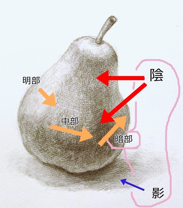 デッサンの基礎 影の付け方 影はどうやって描くの 白いキャンバス