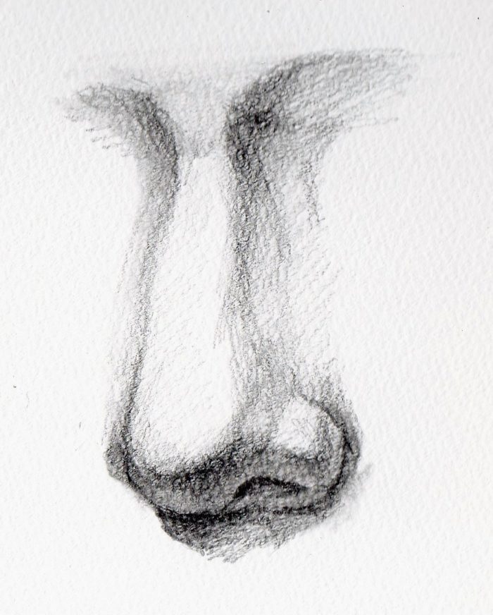 鼻の描き方 鼻をうまく描くためのポイントと描き進め方を順番に解説します 白いキャンバス